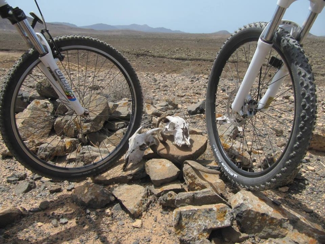 BTT por Fuerteventura